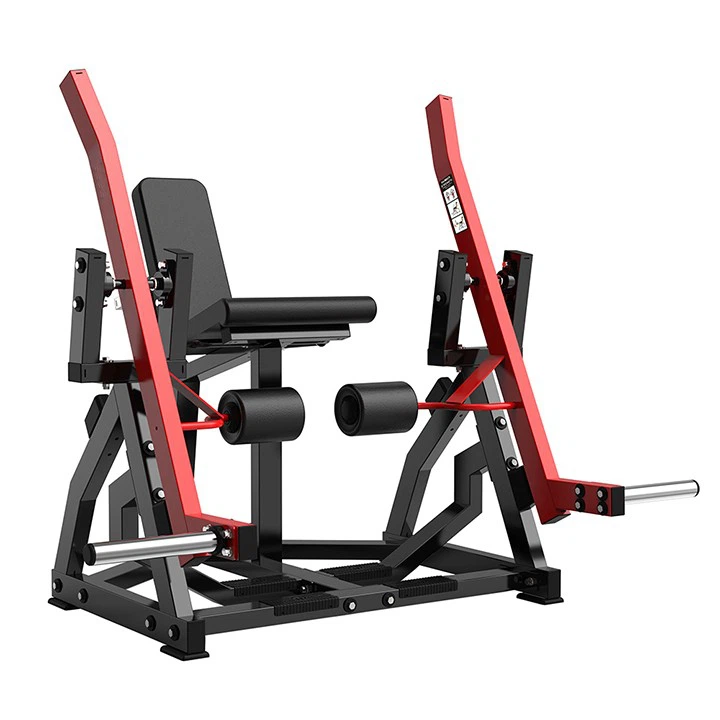 Lateral Leg Extension Trainer