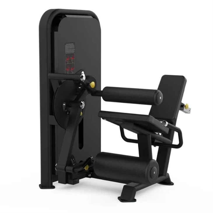 Leg Extension And Flexion Training Device